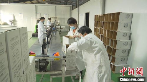 新疆昌吉葡萄酒企業(yè)忙 訂單 力爭(zhēng)實(shí)現(xiàn)首季 開門紅