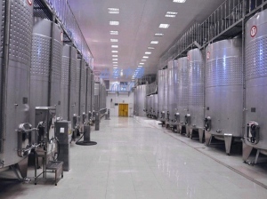 楊梅果酒加工設(shè)備