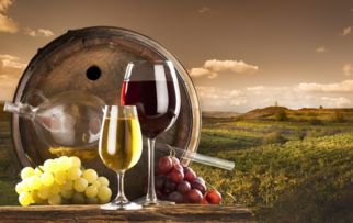 檢驗檢疫部門提醒葡萄酒進(jìn)口商關(guān)注添加劑安全